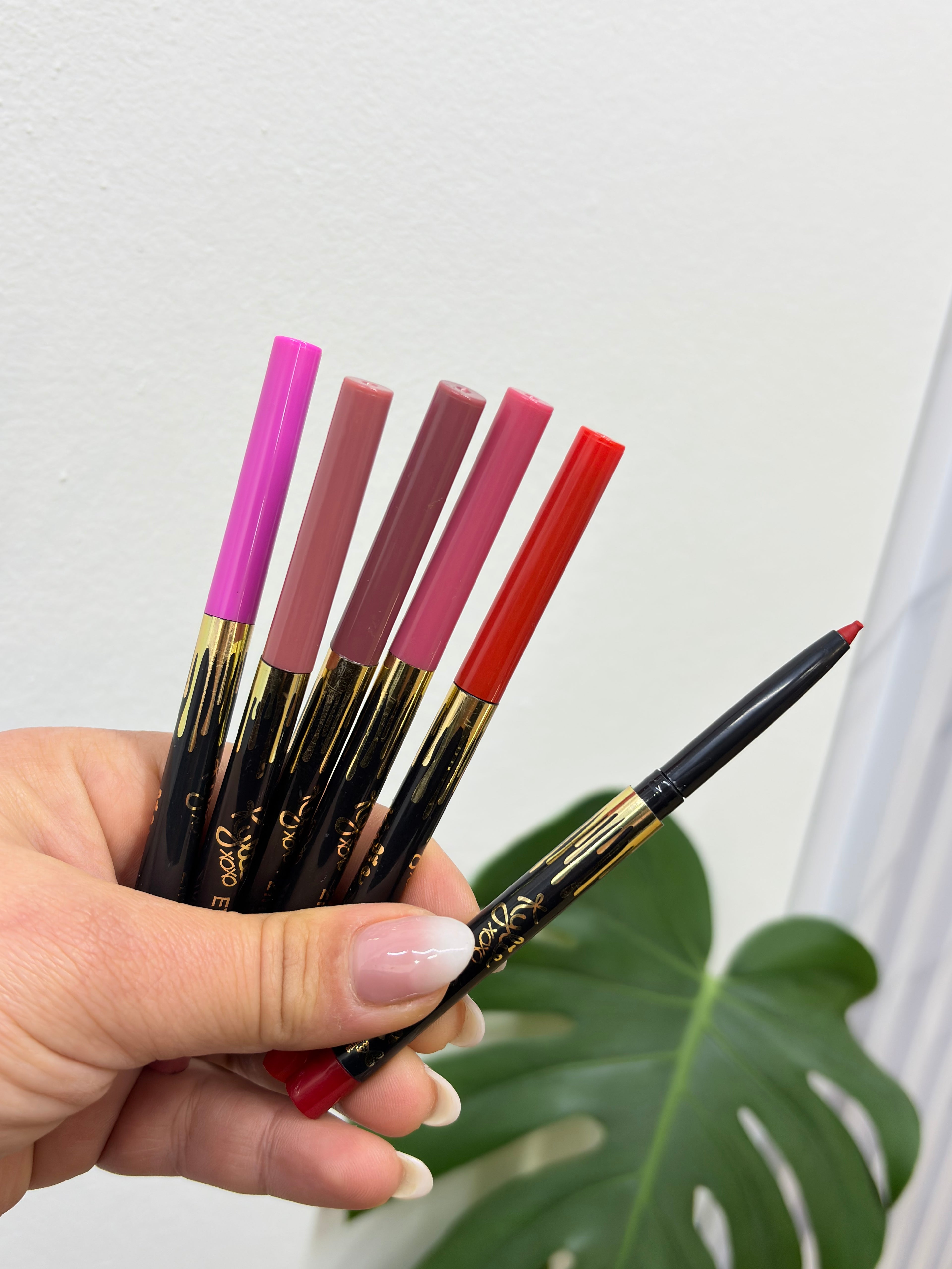 Delineador Retráctil Labios