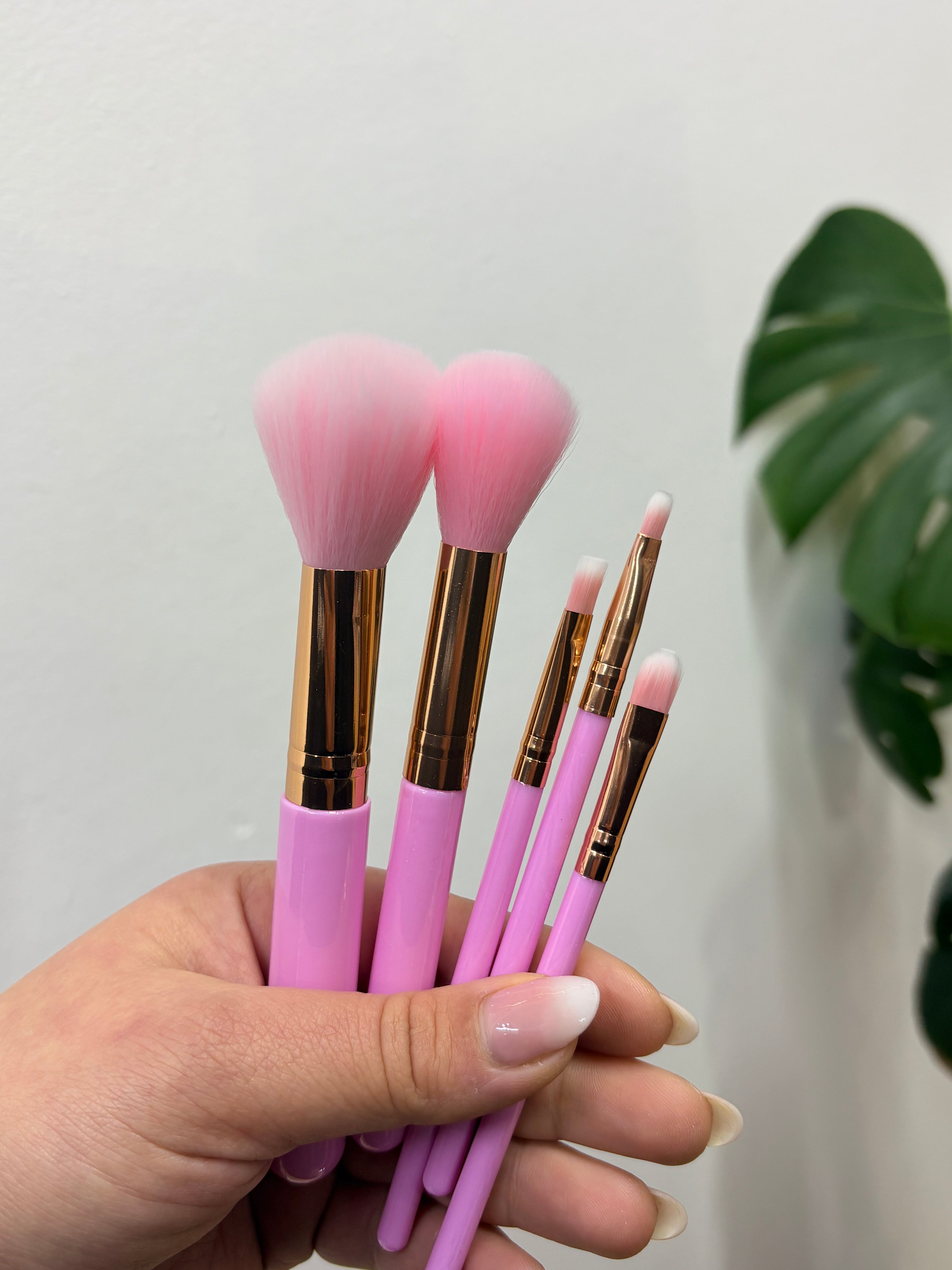 Set de Brochas x5